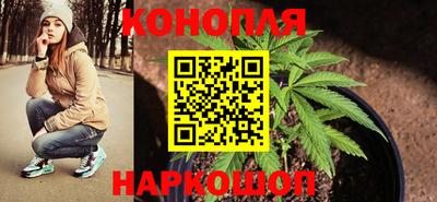 гашик Славгород