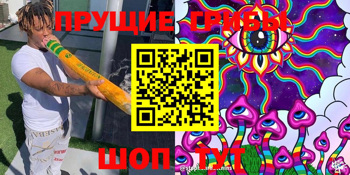 Галлюциногенные грибы Psilocybine cubensis Нерюнгри