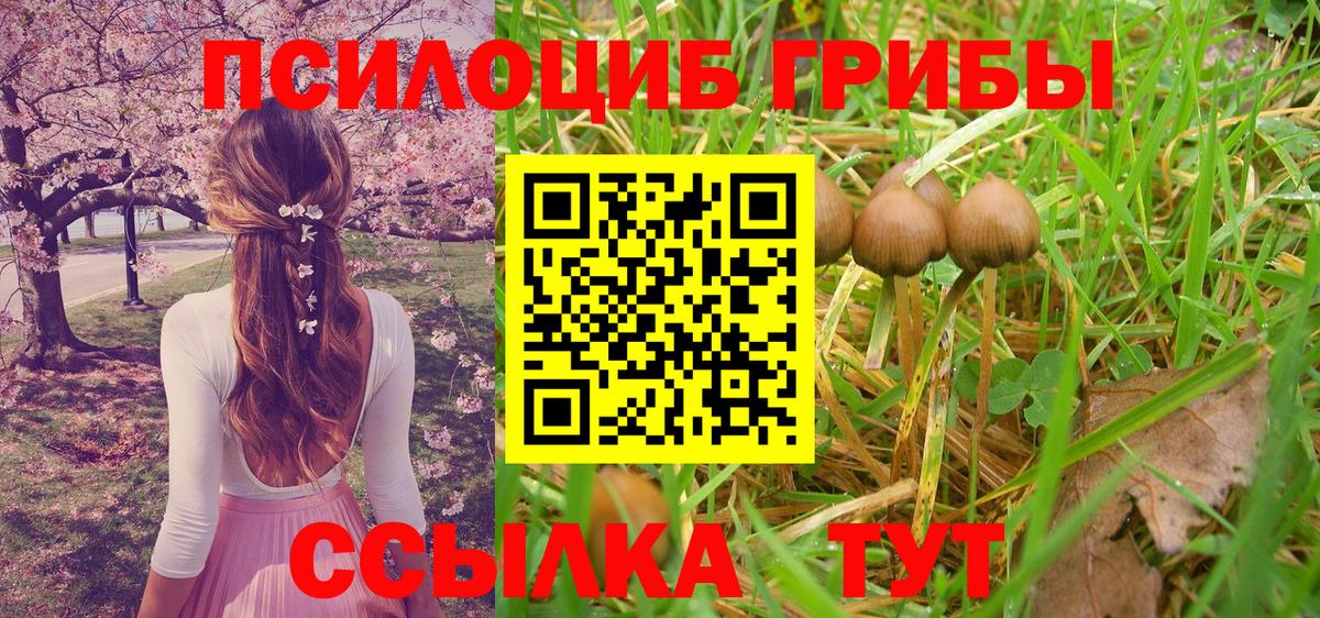 Псилоцибиновые грибы мицелий  Псилоцибиновые грибы Psilocybe  Вход с VPN  что такое   Нерюнгри 